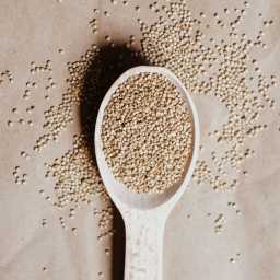 Quinoa